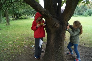 Nous avons récolté diverses informations sur les arbres. Ici, Jil prend l'empreinte de l'écorce du chêne.